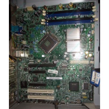 Материнская плата Intel Server Board S3200SH s.775 (Березники)