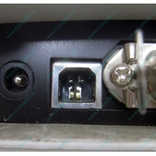 Термопринтер Zebra TLP 2844 (выломан USB разъём в Березниках, COM и LPT на месте; без БП!) - Березники