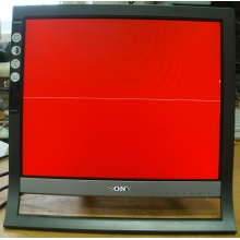 Монитор 17" TFT Sony SDM-HS75 (Березники)
